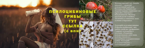 apvp Арсеньев