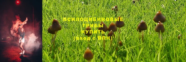 МДМА Весьегонск